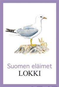 Lokki