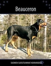Beauceron