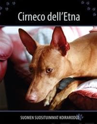Cirneco dell'Etna