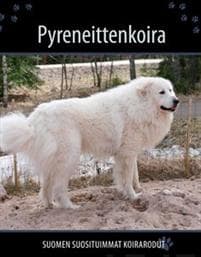 Pyreneittenkoira