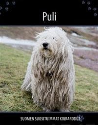 Puli