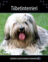 Tiibetinterrieri
