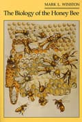 Miniatyrbilde 1 av 2: The Biology of the Honey Bee