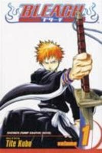 Bleach, Vol. 1