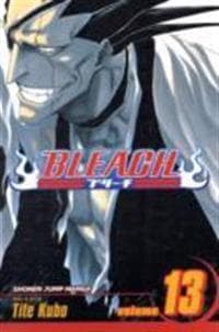 Bleach, Vol. 13