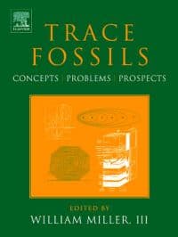 Trace Fossils