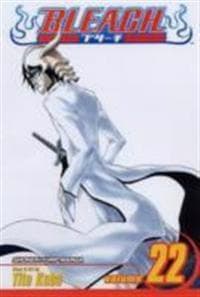 Bleach, Vol. 22