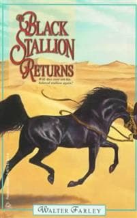 The Black Stallion Returns