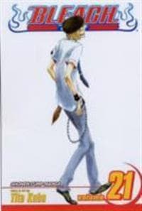 Bleach, Vol. 21