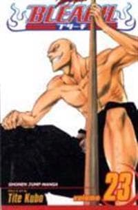 Bleach, Vol. 23