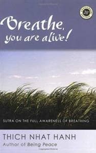 Breathe, You Are Alive