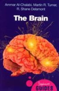 The Brain