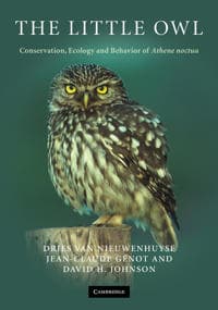 The Little Owl