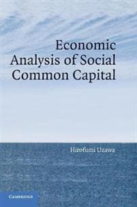 Economic Analysis of Social Common Capital