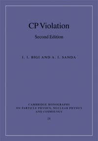 CP Violation