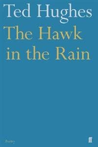 The Hawk in the Rain