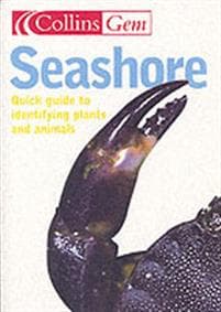 Seashore