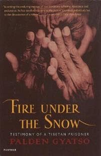 Fire Under The Snow