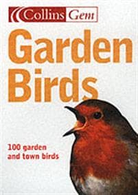 Garden Birds