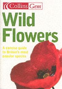 Wild Flowers