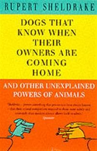 Dogs That Know When Their Owners Are Coming Home