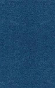 Fuzzy Sets and Systems