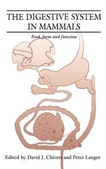 The Digestive System in Mammals