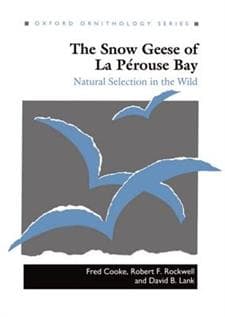 The Snow Geese of La Pérouse Bay