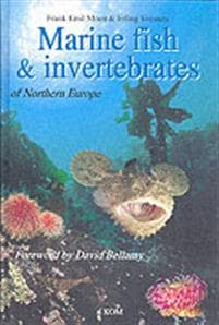 Marine FishInvertebrates of Northern Europe