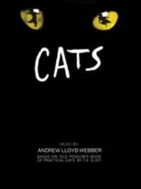 Cats Vocal selections