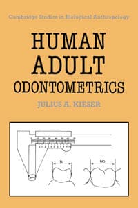 Human Adult Odontometrics