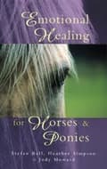 Miniatyrbilde 3 av 3: Emotional Healing For Horses & Ponies