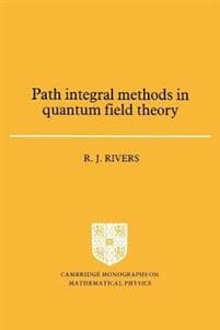 Path Integral Methods in Quantum Field Theory