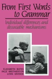 From First Words to Grammar