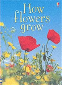 How Flowers Grow