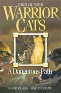 Dangerous Path