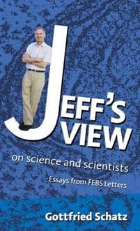 Jeff's View
