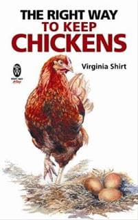 Right Way to Keep Chickens