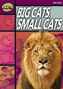 Rapid Reading: Big Cats Small Cats (Stage 1, Level 1A)