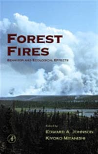 Forest Fires