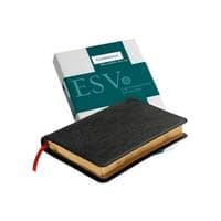 ESV Pitt Minion Reference Bible, Black Goatskin Leather, Red-letter Text, ES446:XR