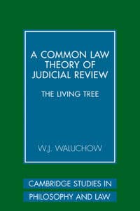 A Common Law Theory of Judicial Review