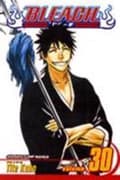 Miniatyrbilde 1 av 2: Bleach, Vol. 30