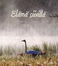 Elämä siivillä