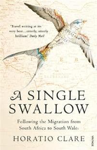 Single Swallow