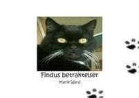 Findus betraktelser