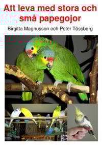 Att leva med stora och små papegojor