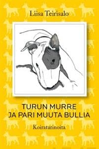 Turun murre ja pari muuta bullia