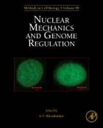 Nuclear Mechanics and Genome Regulation