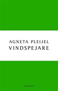 Vindspejare : boken om Abel målaren
